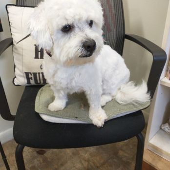 Furkids Pet Grooming - Pet Groomers Near Me - Glen Burnie, Maryland Furkids Pet Grooming - Pet Groomers Near Me - Glen Burnie, Maryland