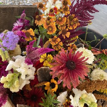 Quonquont Farm - Venues & Event Spaces Near Me - Whately, Massachusetts Quonquont Farm - Venues & Event Spaces Near Me - Whately, Massachusetts