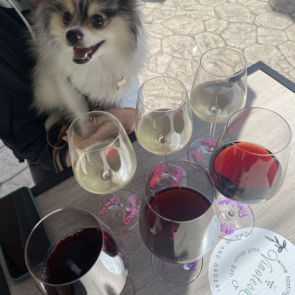 Vinoteca - red and white flight! - Wine Tasting Room Near Me - Half Moon Bay, California Vinoteca - red and white flight! - Wine Tasting Room Near Me - Half Moon Bay, California