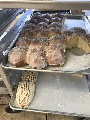 Panaderia Veronica by null