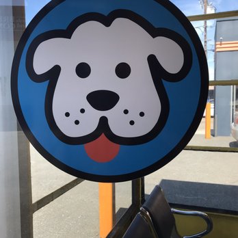 Alameda Smog Dog - Smog Check Stations Near Me - Alameda, California Alameda Smog Dog - Smog Check Stations Near Me - Alameda, California