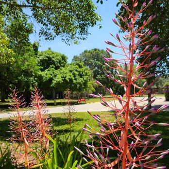 The Ringling - Botanical gardens - Art Museums Near Me - Sarasota, Florida