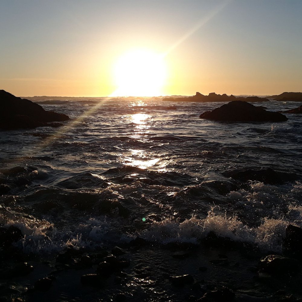 Noyo Headlands Park - Sunset!! - Hiking Near Me - Fort Bragg, California Noyo Headlands Park - Sunset!! - Hiking Near Me - Fort Bragg, California