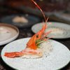 Kobe Sushi and Hibachi gift card