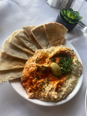 Chicken Chick by null