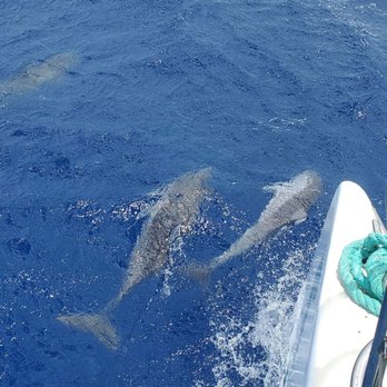 Sea Maui - Boat Charters Near Me - Lahaina, Hawaii