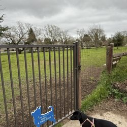 Alston Park - Small dog park gate