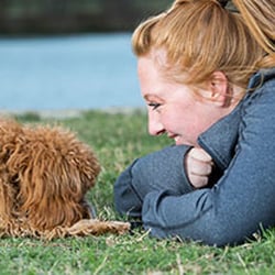 Karma Dog Training