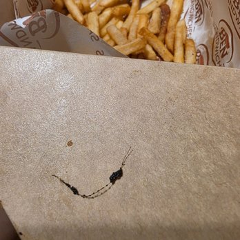 Ben Sandwiches - If you like your fries with hair, this is the place to go. - Coffee & Tea Near Me - San Jose, California