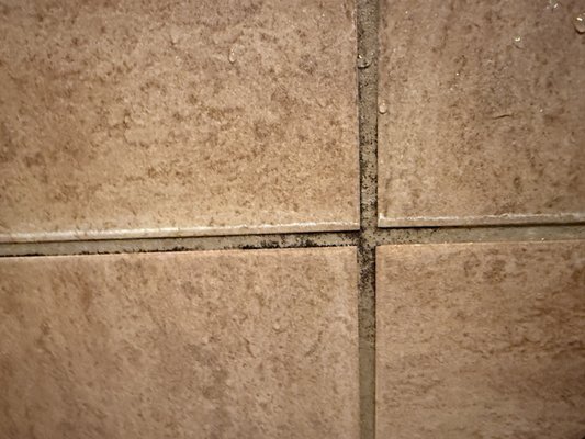 Suncoast Hotel and Casino by null