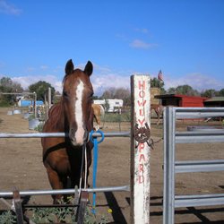 Red Horse Stable - Howdy Pard Greeting