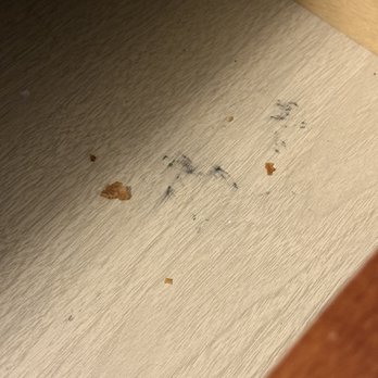 Days Inn by Wyndham Warren - Filth next to the bed. - Hotels Near Me - Warren, Pennsylvania Days Inn by Wyndham Warren - Filth next to the bed. - Hotels Near Me - Warren, Pennsylvania