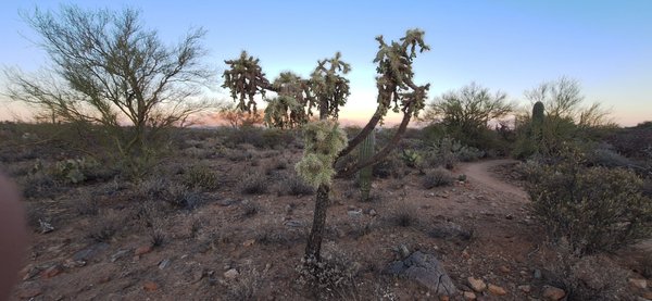 Sweetwater Preserve Trailhead by null