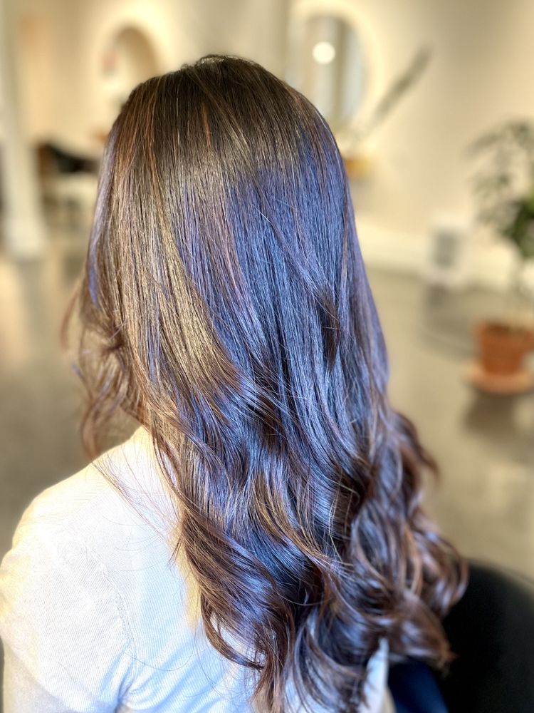 camellia hair salon Logo