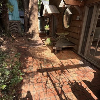 Stump'n Grind - Tree Services Near Me