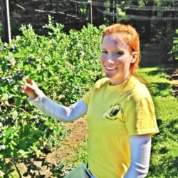 Sauchuk Farm - Julie picking blueberries