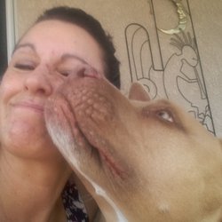 Homeward Bound of Havasu - Homeward Bound of Havasu Petting. Pet Care...Just Like You Were There!