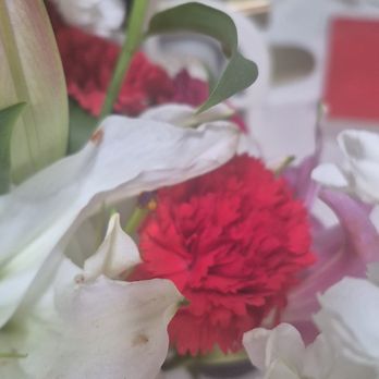 Rosebud Studio Florist - Florists Near Me - Jersey City, New Jersey Rosebud Studio Florist - Florists Near Me - Jersey City, New Jersey