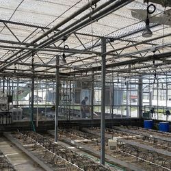 Blue Beagle Electric - Greenhouse project