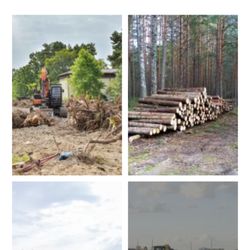 Campbell's Tree Experts and Outdoor Services