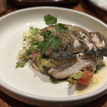 Mexican Sugar Plano - Striped Bass - Mexican Near Me - Plano, Texas Mexican Sugar Plano - Striped Bass - Mexican Near Me - Plano, Texas