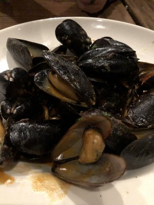 Salt Factory Pub (Madison Yard) by null