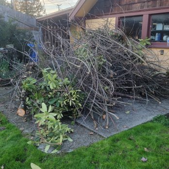 Empire Junk Removal - The only pic I took doesn't show the big chunks of branches; they're under the pile! - Junk Removal & Hauling Near Me Empire Junk Removal - The only pic I took doesn't show the big chunks of branches; they're under the pile! - Junk Removal & Hauling Near Me