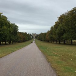 The Long Walk - A fairly close view of The Long Walk looking towards Windsor Castle