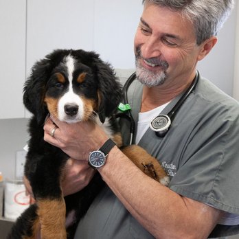 Boston Mobile Veterinary Clinic - Veterinarians Near Me - Weston, Massachusetts Boston Mobile Veterinary Clinic - Veterinarians Near Me - Weston, Massachusetts