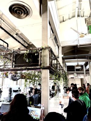 Mercado San Agustin by null