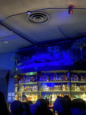 The Crocodile by null