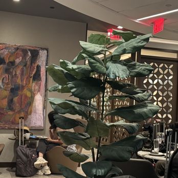 United Polaris - A-la-carte dining area - Airport Lounges Near Me - Los Angeles, California United Polaris - A-la-carte dining area - Airport Lounges Near Me - Los Angeles, California