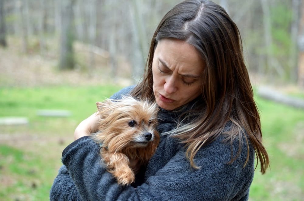 Dog Tales - pet boarding facility in Durham, NC