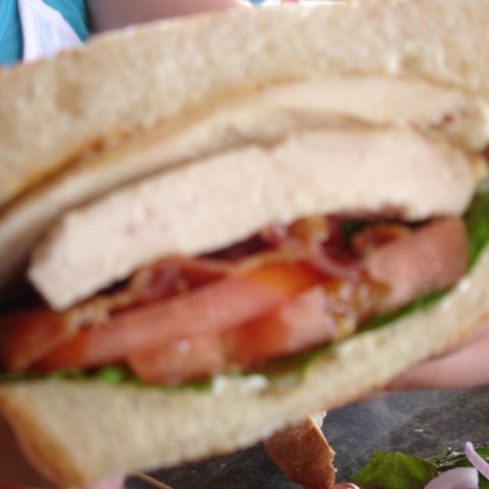 Seaside Shanty Restaurant - a person holding a sandwich - Seafood Near Me - Chester, Nova Scotia Seaside Shanty Restaurant - a person holding a sandwich - Seafood Near Me - Chester, Nova Scotia
