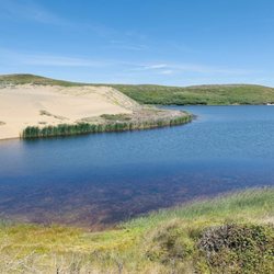 Abbotts Lagoon - Scenes