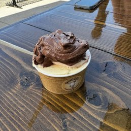 A Large with 3 Scoops