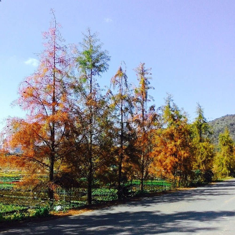 TOP 10 BEST Home & Garden near Taiwan - Updated 2026 - Yelp