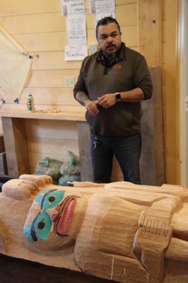 Alaska Rainforest Sanctuary by null