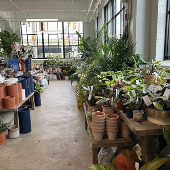 Grounded Plant & Floral - Nurseries & Gardening Near Me - Indianapolis, Indiana