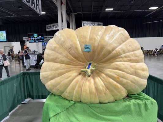 Michigan State Fair by null