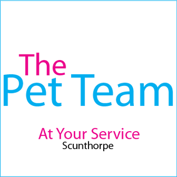 The Pet Team - Logo - Dog Walkers Near Me - Scunthorpe, NLN The Pet Team - Logo - Dog Walkers Near Me - Scunthorpe, NLN
