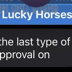 The Lucky Horseshoe