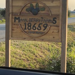 Mahal Berry Farms
