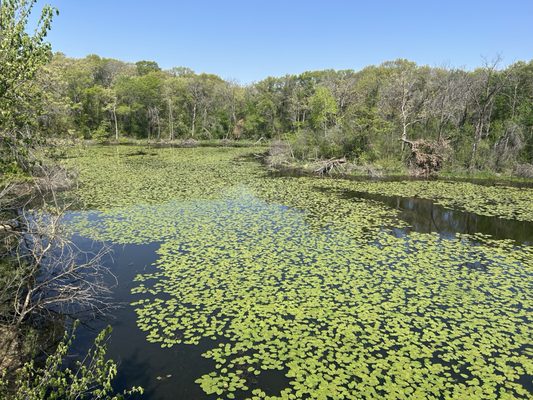 Minnesota Zoo by null