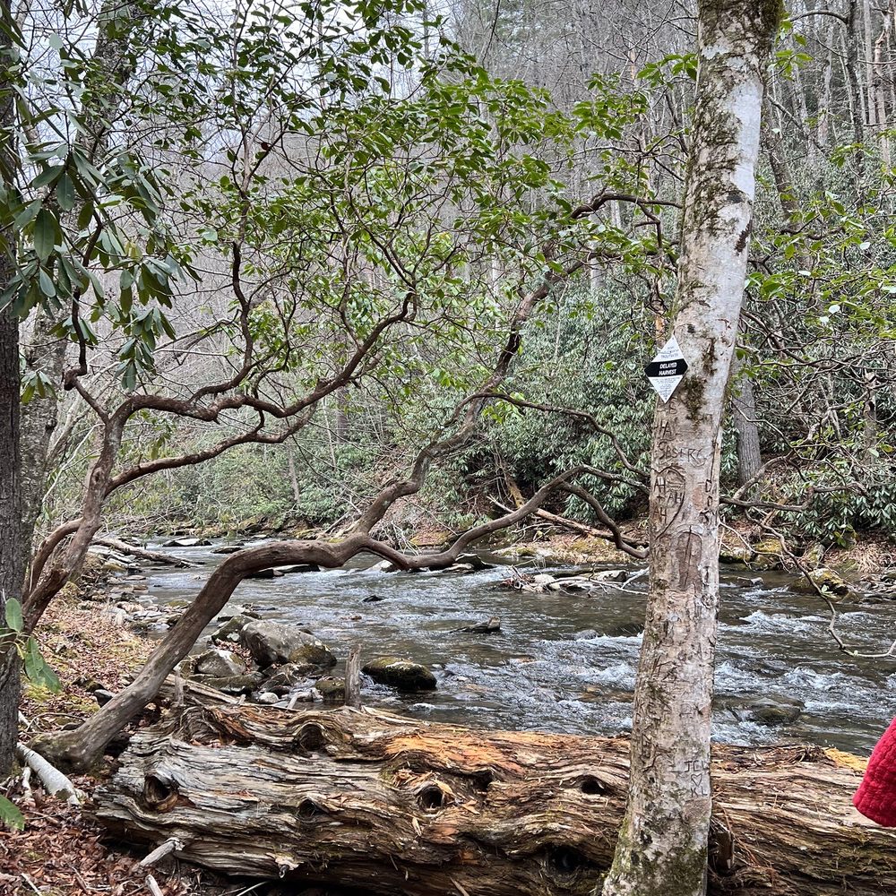 Fires Creek Falls - Stream by the paved path - Hiking Near Me - Murphy, North Carolina Fires Creek Falls - Stream by the paved path - Hiking Near Me - Murphy, North Carolina