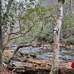 Fires Creek Falls - Stream by the paved path
