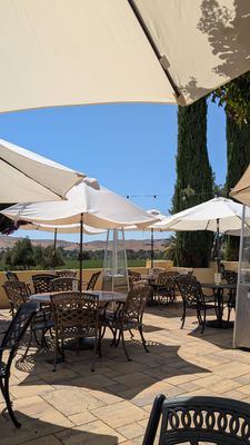 Las Positas Vineyards by null