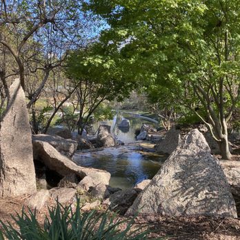 Japanese Garden - Inside - Botanical Gardens Near Me - Houston, Texas