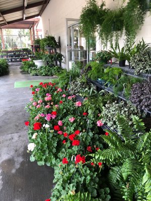 HESTER & ZIPPERER LAWN & GARDEN - Nurseries & Gardening - 6719 Skidaway