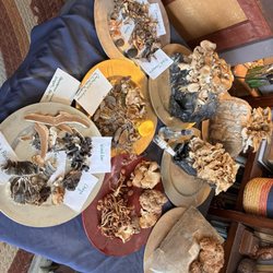 Foraged mushroom display
